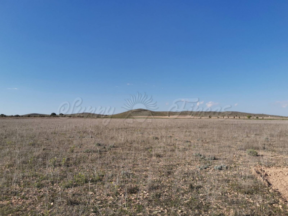 Building Plot of 26000m2 in Yecla