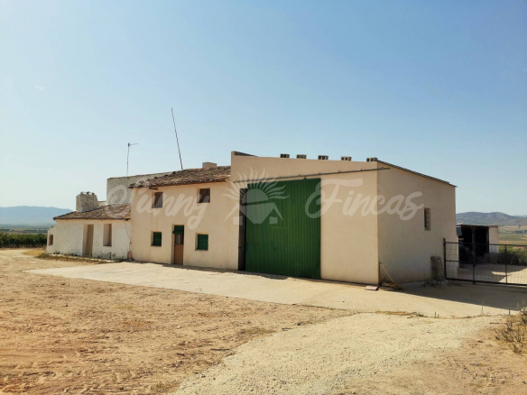 Great semidetached finca with big Agricultural warehouses