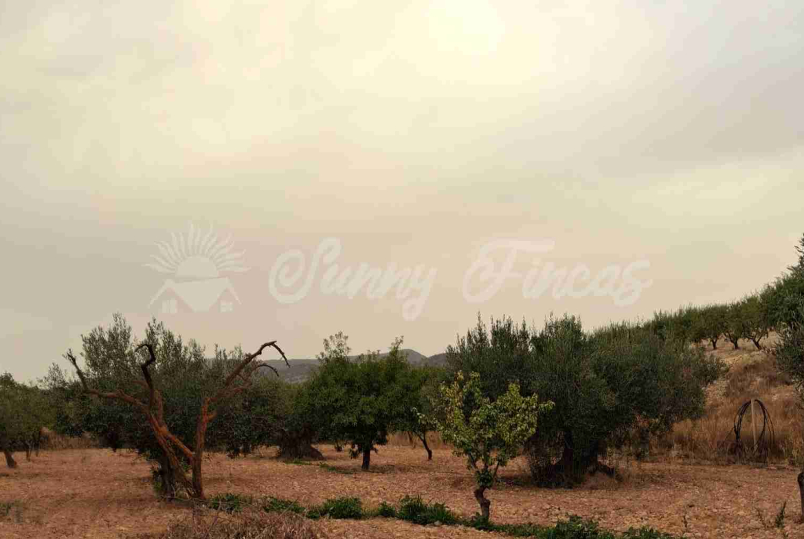 3 bed country house with detached garage